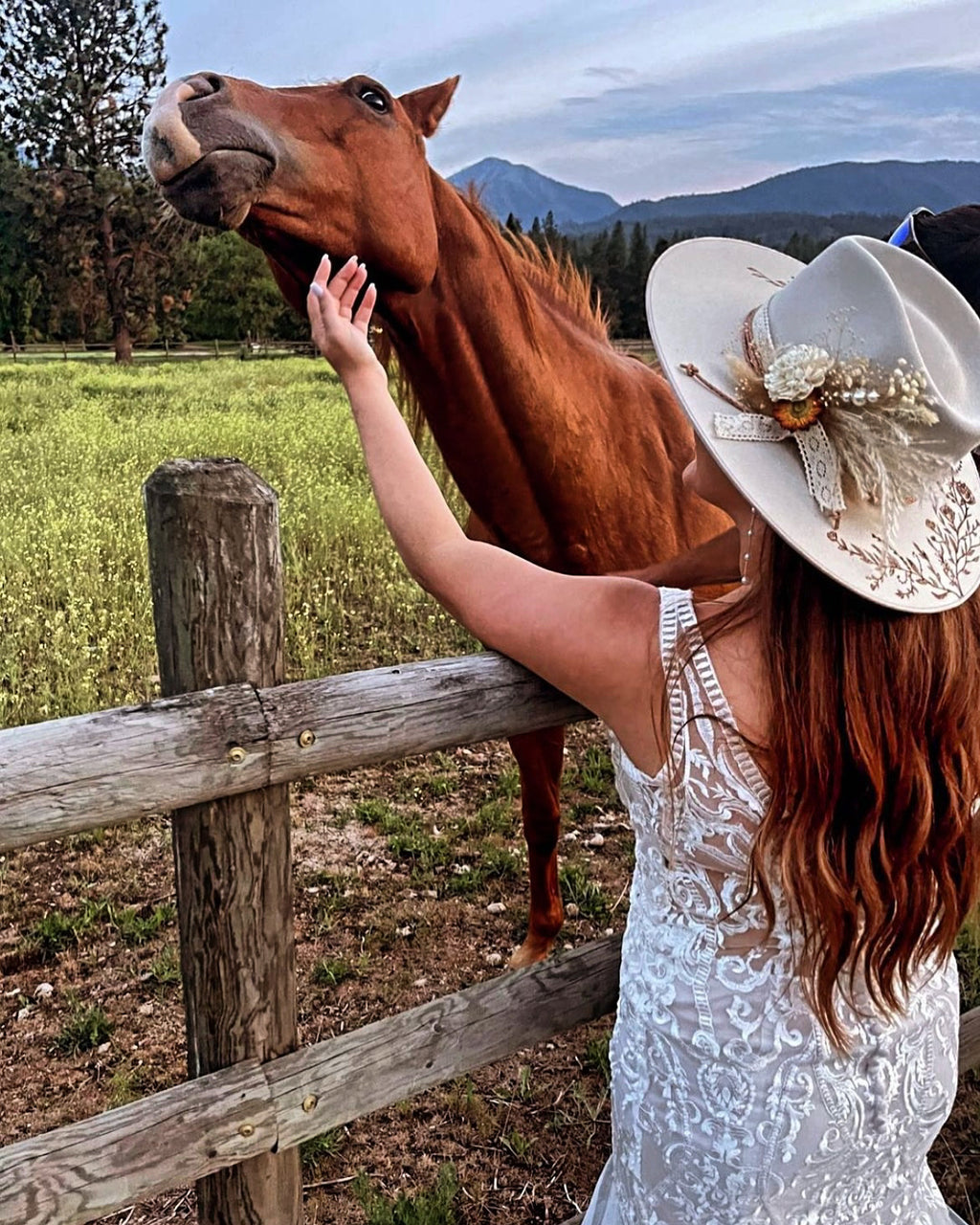 Molly's Montana Rancher image 4