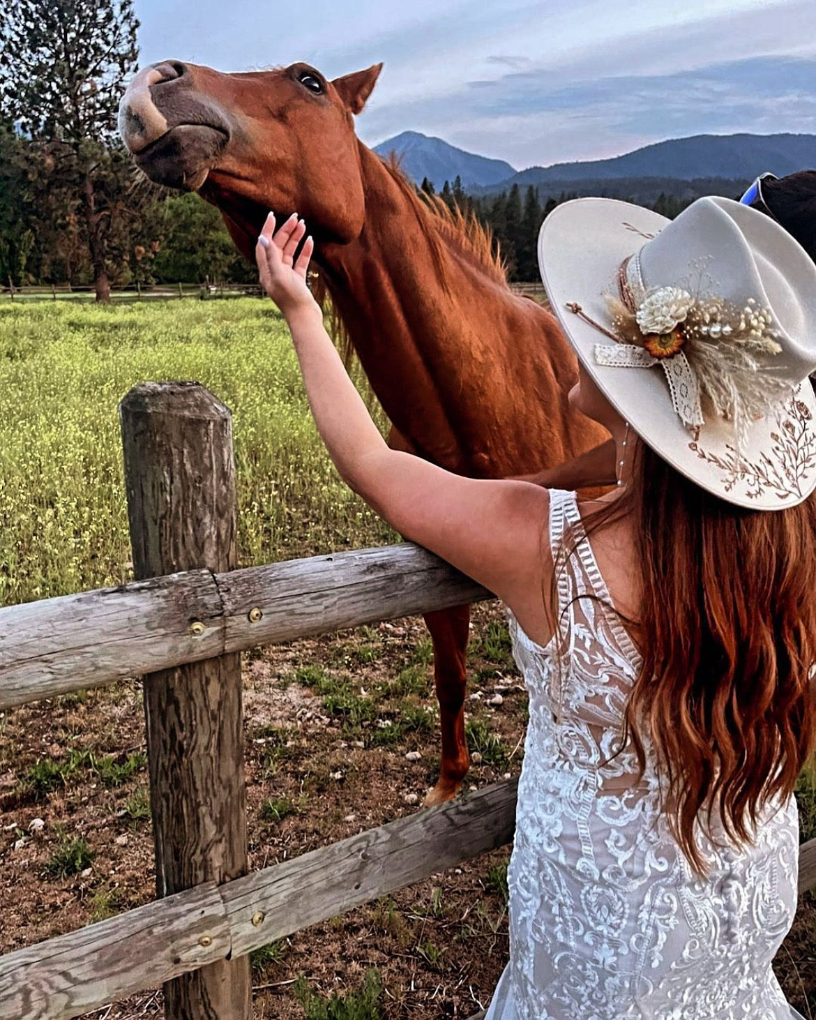 Molly's Montana Rancher image 4