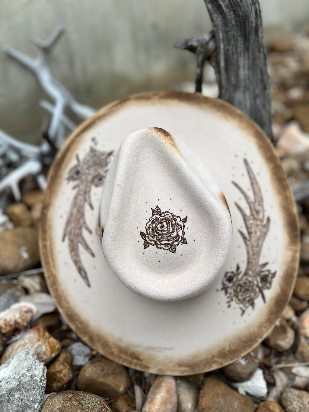 Nicole Sand Rancher image 5